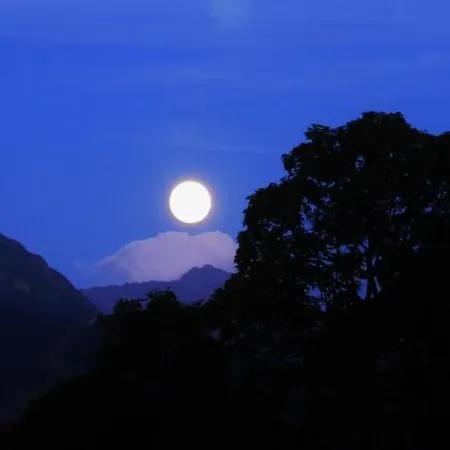 Haus Friedeck 拉姆绍达赫斯坦