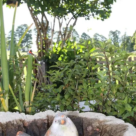 Haus Friedeck Ramsau am Dachstein