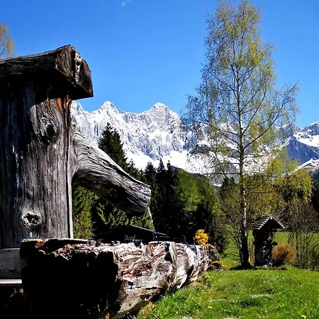 Haus Friedeck 住宿加早餐酒店