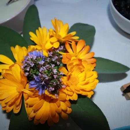 Haus Friedeck 3* 拉姆绍达赫斯坦