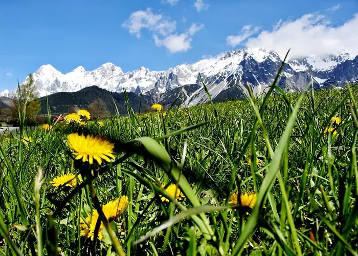 Bed & Breakfast Haus Friedeck 3*