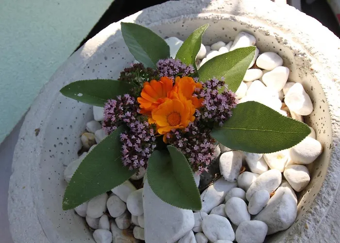 Haus Friedeck Ramsau am Dachstein